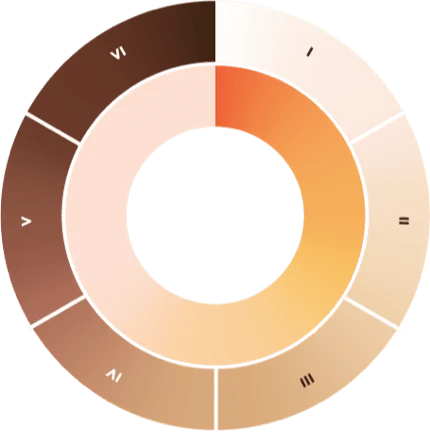 Fitzpatrick Skin Type Wheel